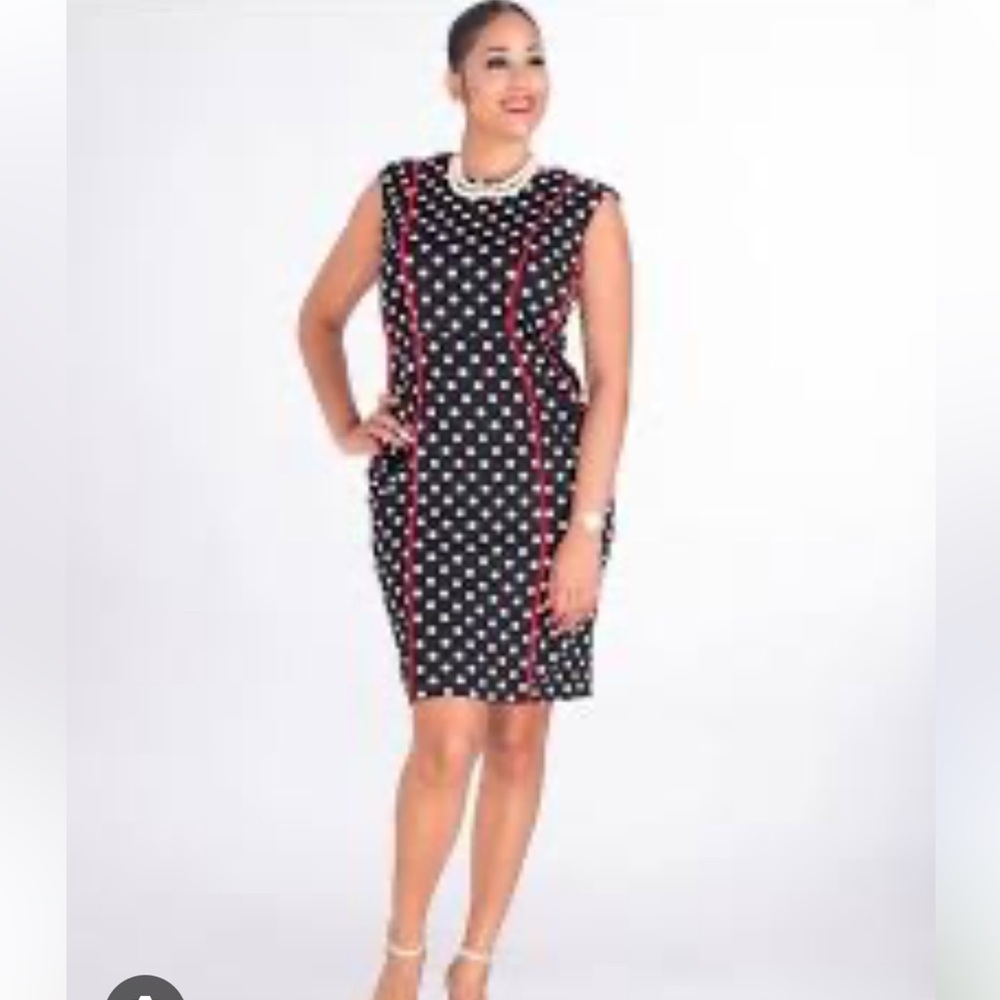 Shelby & Palmer Red and White Sheath Mini Dress